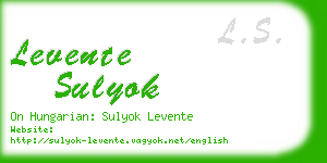 levente sulyok business card